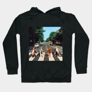 Abbey Road animals Hoodie